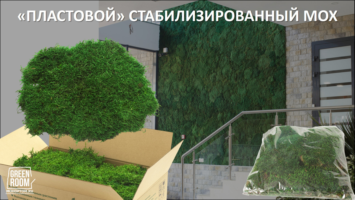 Современный Пласт выглядит достойно и уверенно занял своё место в интерьерном озеленении, декоре предметов и даже в арт-объектах.
