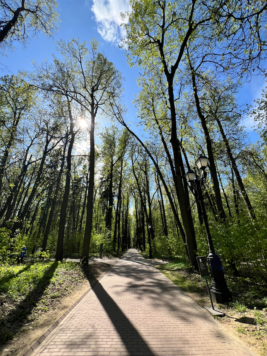 Парковая зона Царицыно