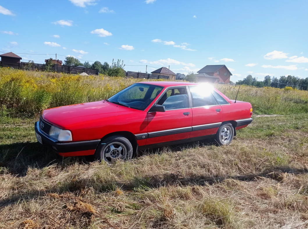Фото взято из открытых источников.