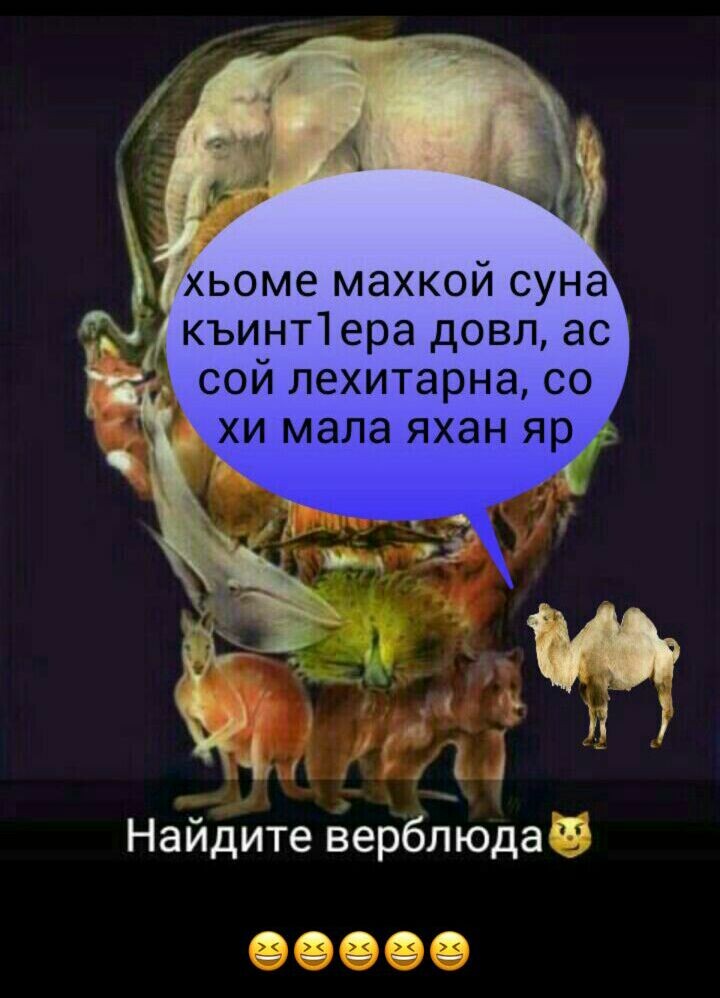 Вот верблюд! Он говорит: Извините, я отходил попить воды))))