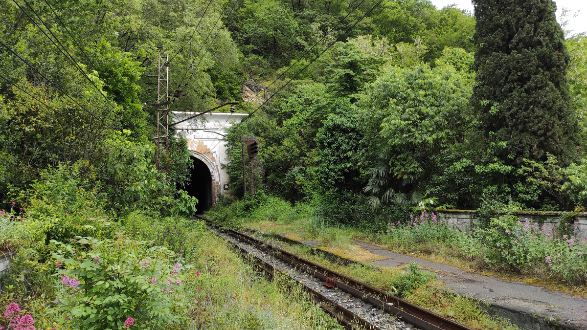 Загадочные железные дороги Абхазии. Фото: Кирилл Полиенко/Polienko: путешествуем вдвоём