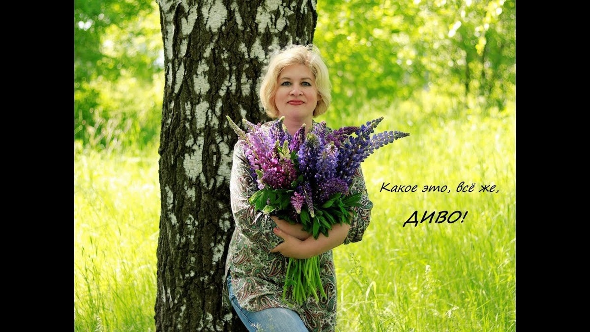 фото из свободного доступа