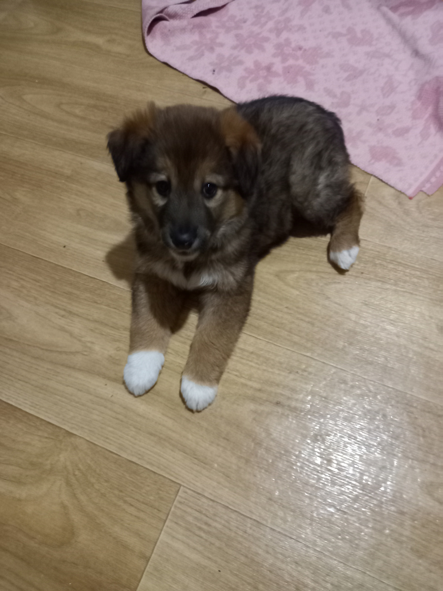 В прошлом кадре я повторяла эту фотографию. Найдите 10 отличий :-)