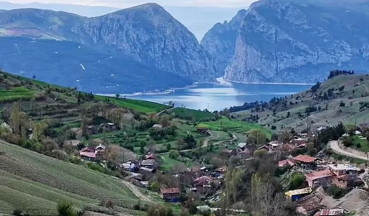 Фото https://yandex.ru/images/