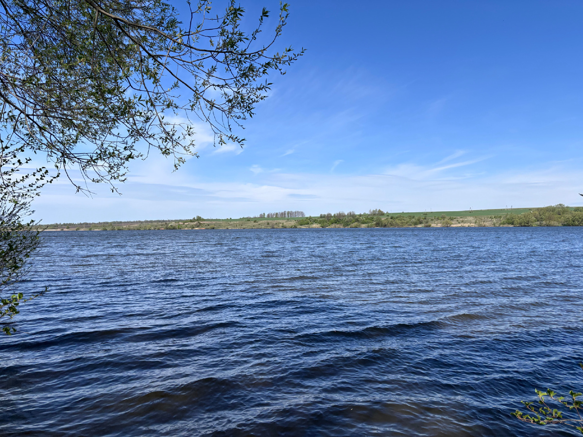 Ясно, но дубак