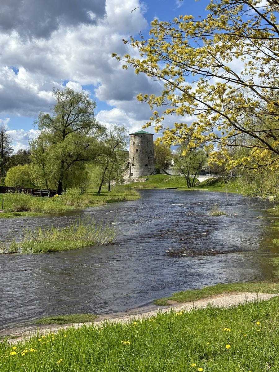 Фото автора 