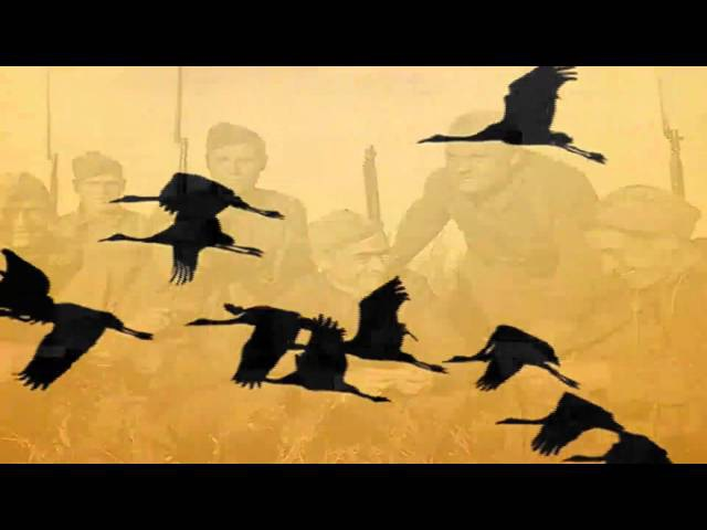 Яндекс картинки.