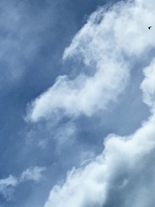 Человек из облаков. 