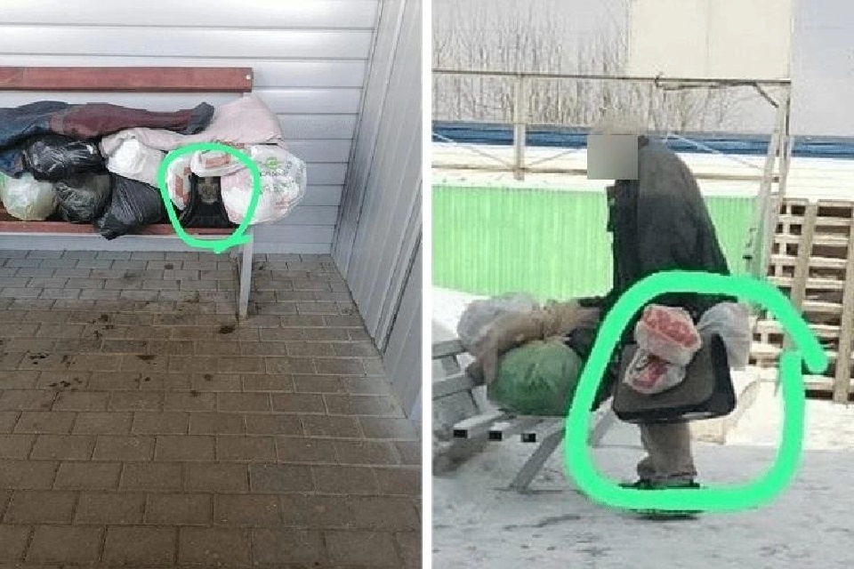 Герои нашей сегодняшней истории