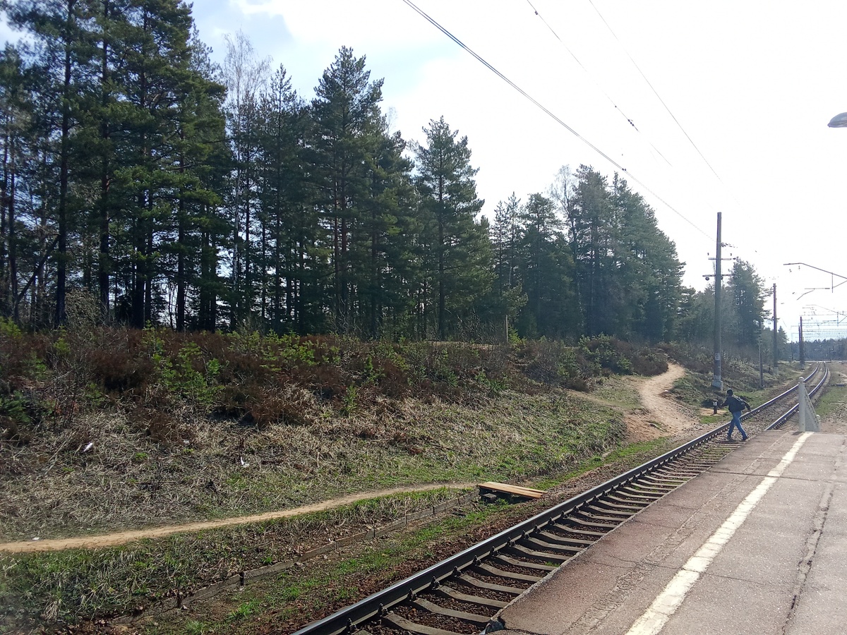 Ог знает куда идти