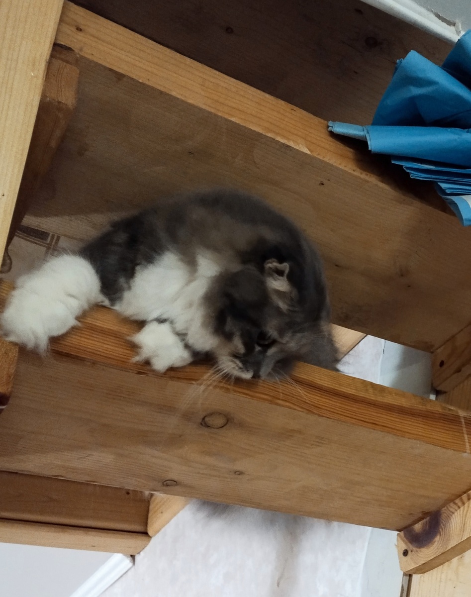 А мы сидим на потолке