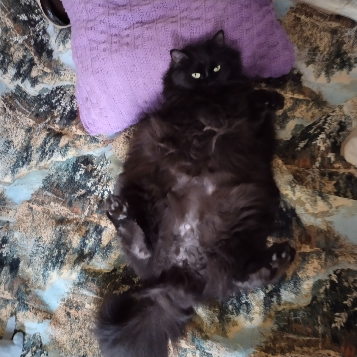 Спим мы на подушечке