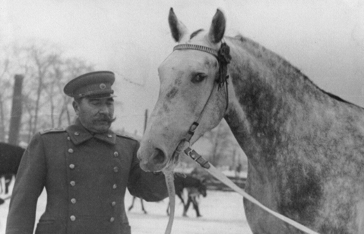 Маршал Семён Будённый: «На свете нет более благородного существа, чем лошадь…»