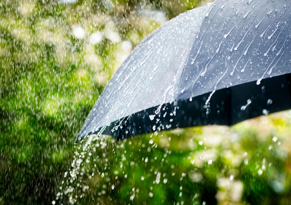 Открытый источник