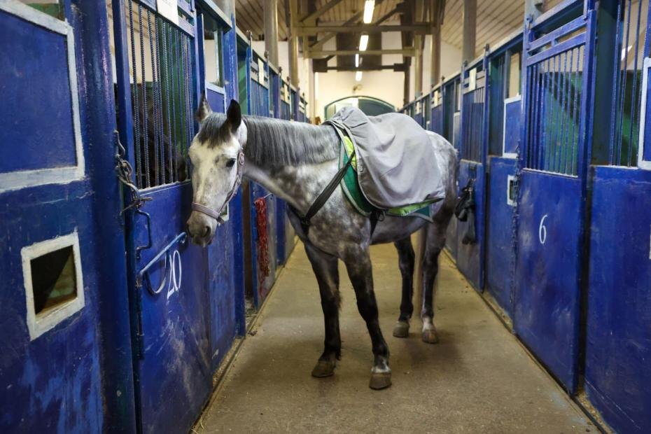    Алексей Белкин/NEWS.ru