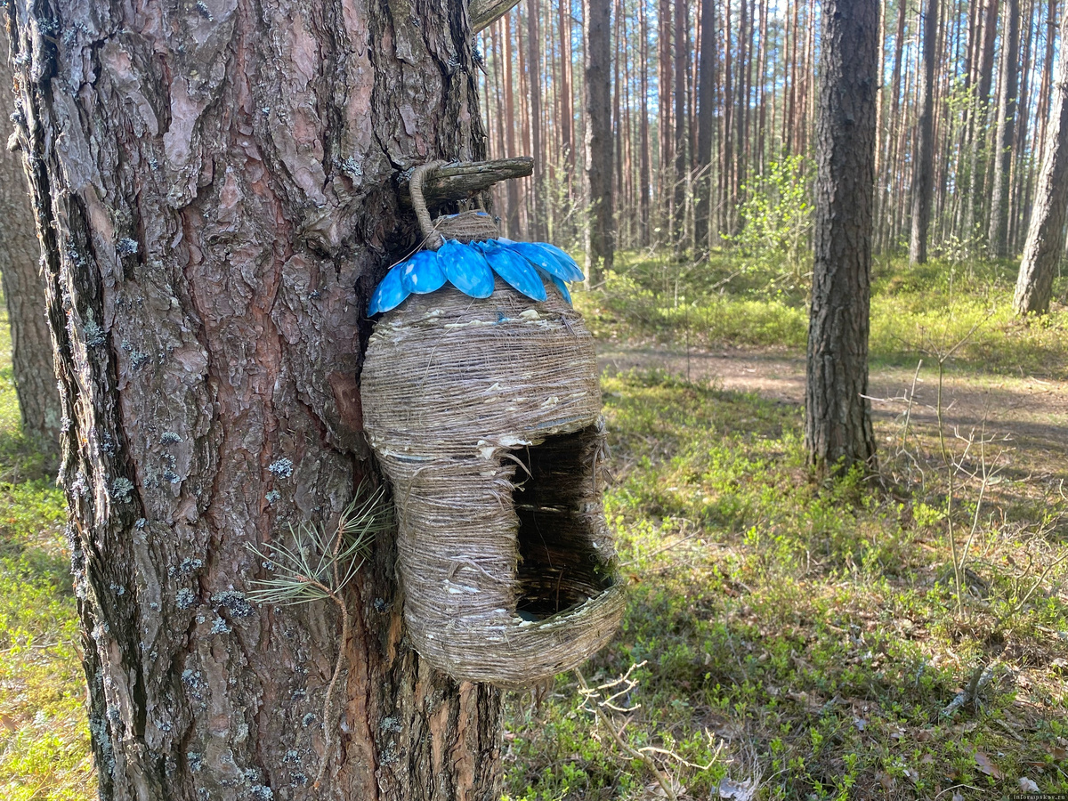 Фото: газета «Призыв»