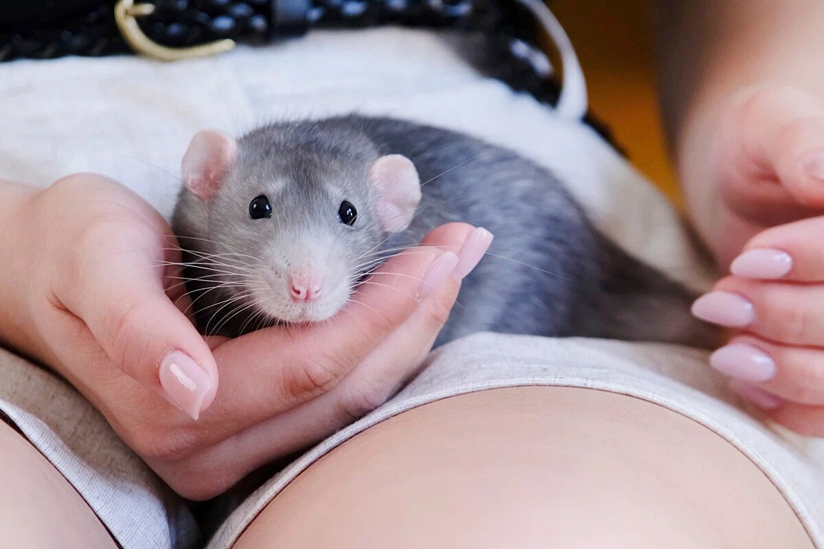    Фото: ilona.shorokhova / Shutterstock.com