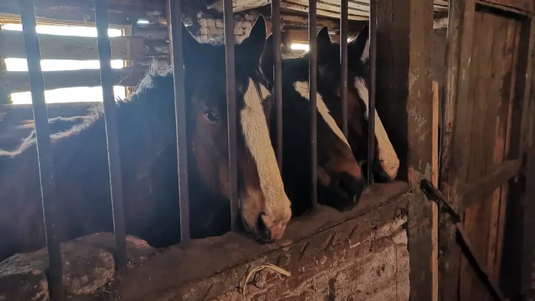    Коллаж Царьграда