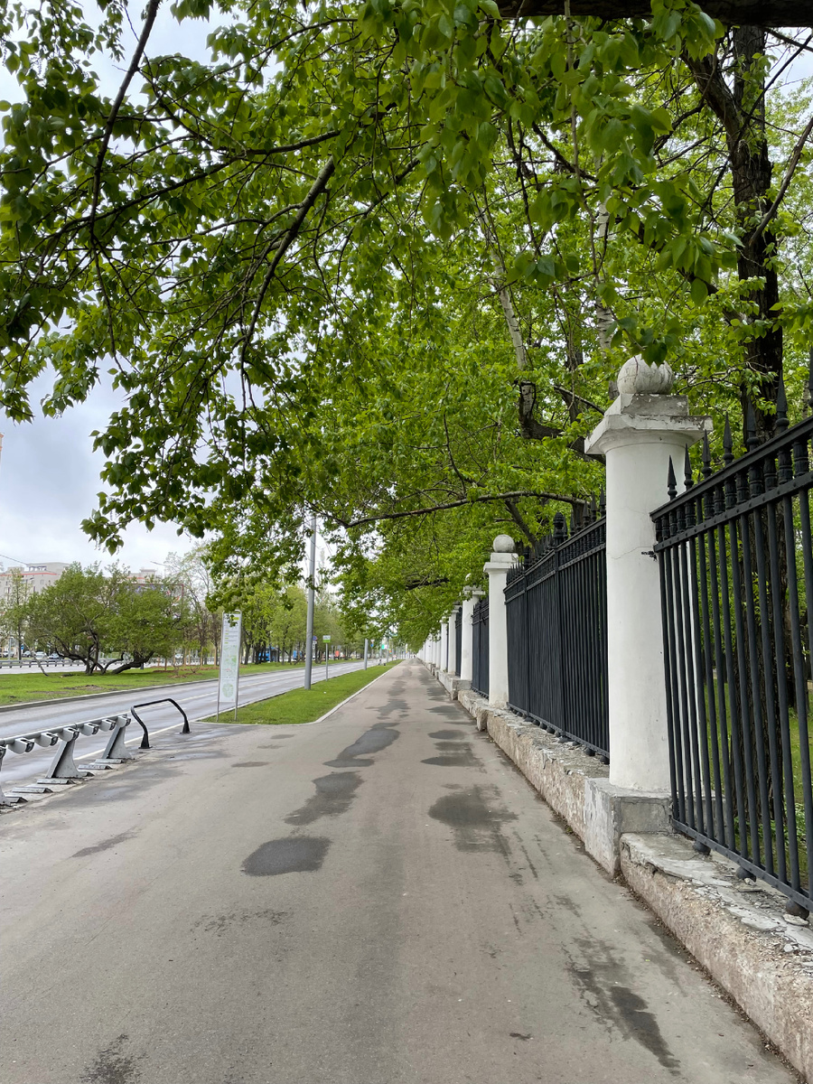 Дорога к главному зданию МГУ от м. Университет