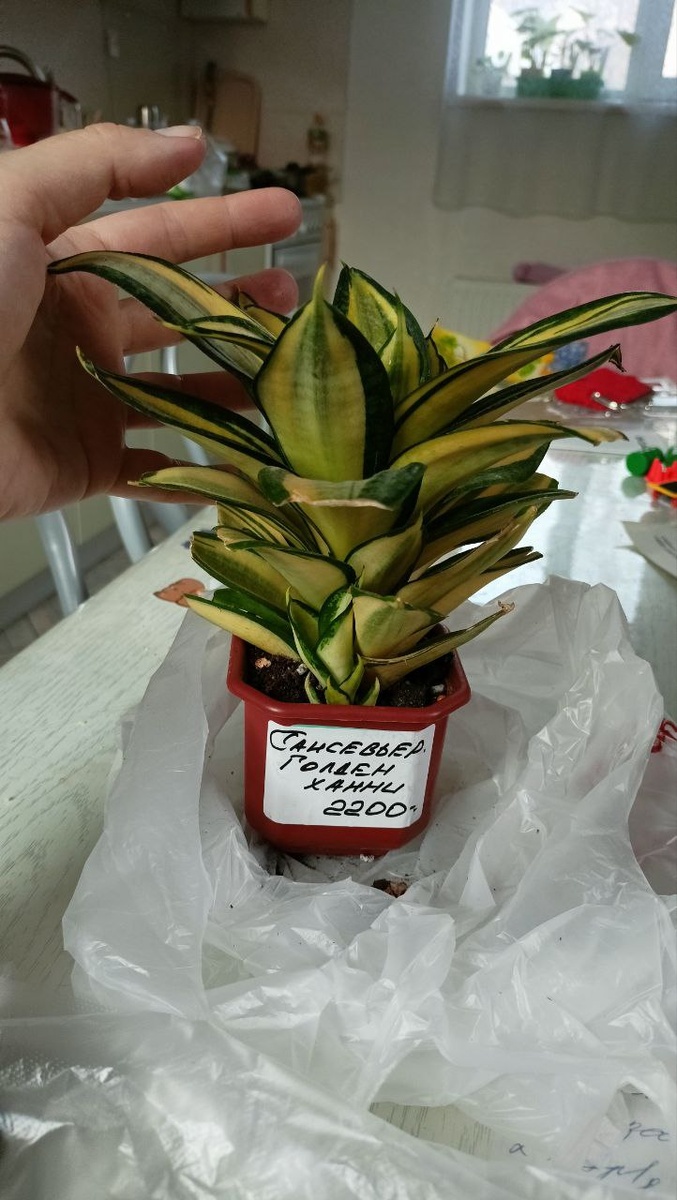 28 марта 2025 года. 2200 - это цена. Рублей.