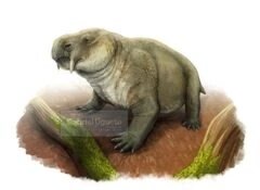 Каннемейерия. Достаточно шакальный арт от Габриэля Угуэто.