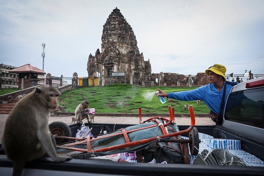    Фото: Chalinee Thirasupa / Reuters