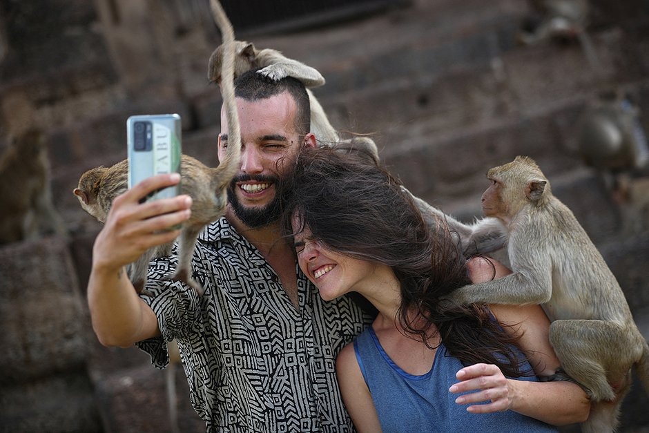 Туристы фотографируются с обезьянами во время Фестиваля обезьян. Фото: Chalinee Thirasupa / Reuters