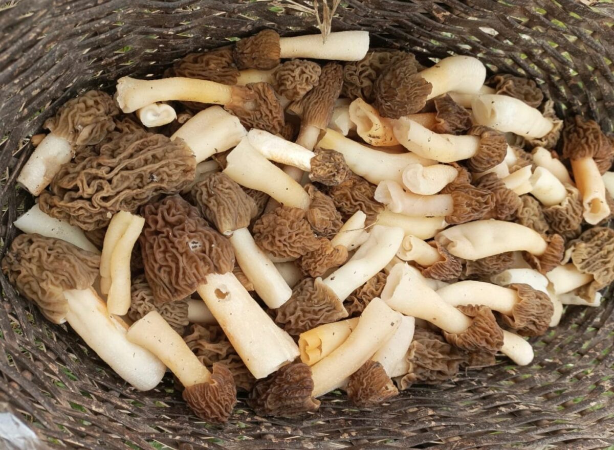    Фото: Светлана Лобова. UG.RU