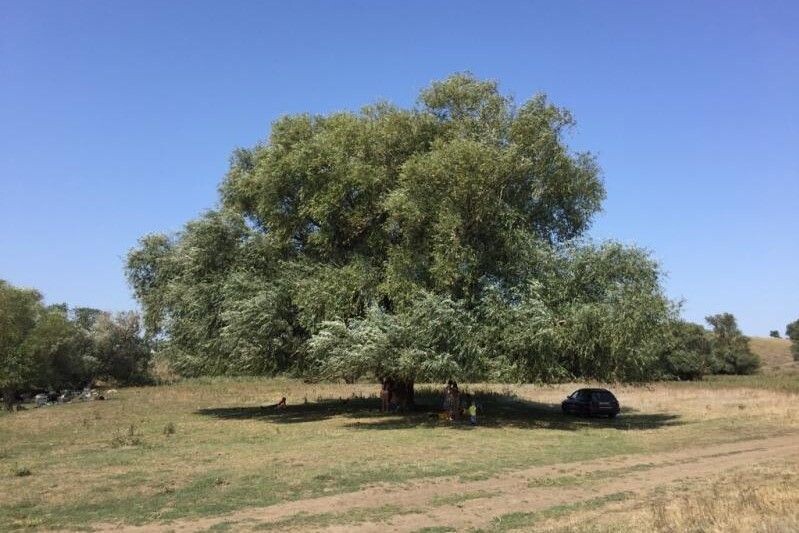   Фото: donland.ru. Газета "Земля"