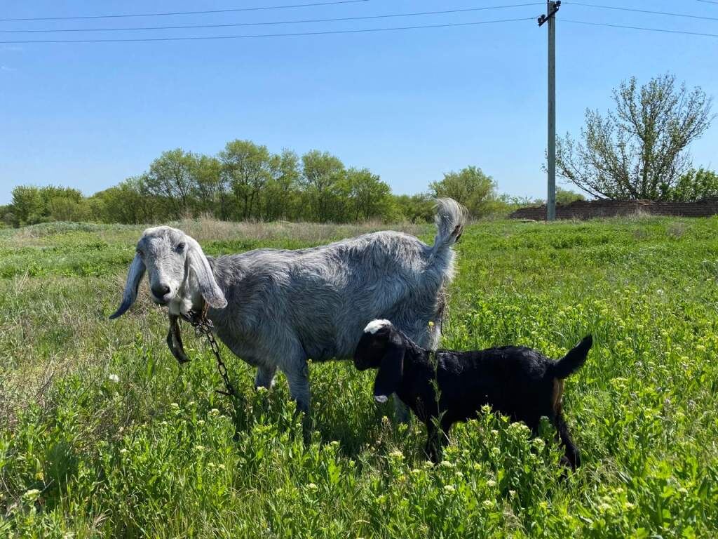   Фото: И. Куницкая. Галина Ященко