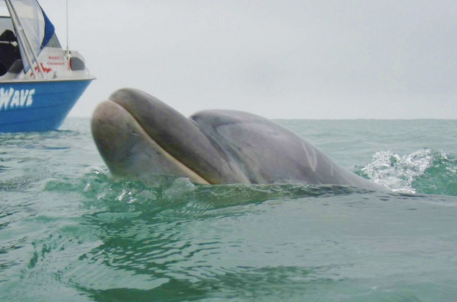    Caters News Agency Ltd/Global Look Press