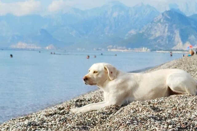    Фото: МК в Новосибирске/ Фотографии предоставлены