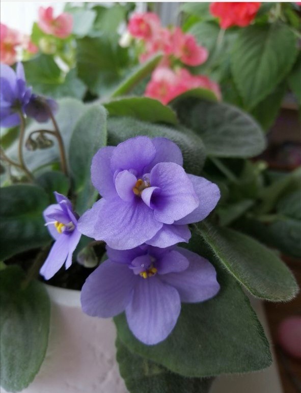 фото из личного архива