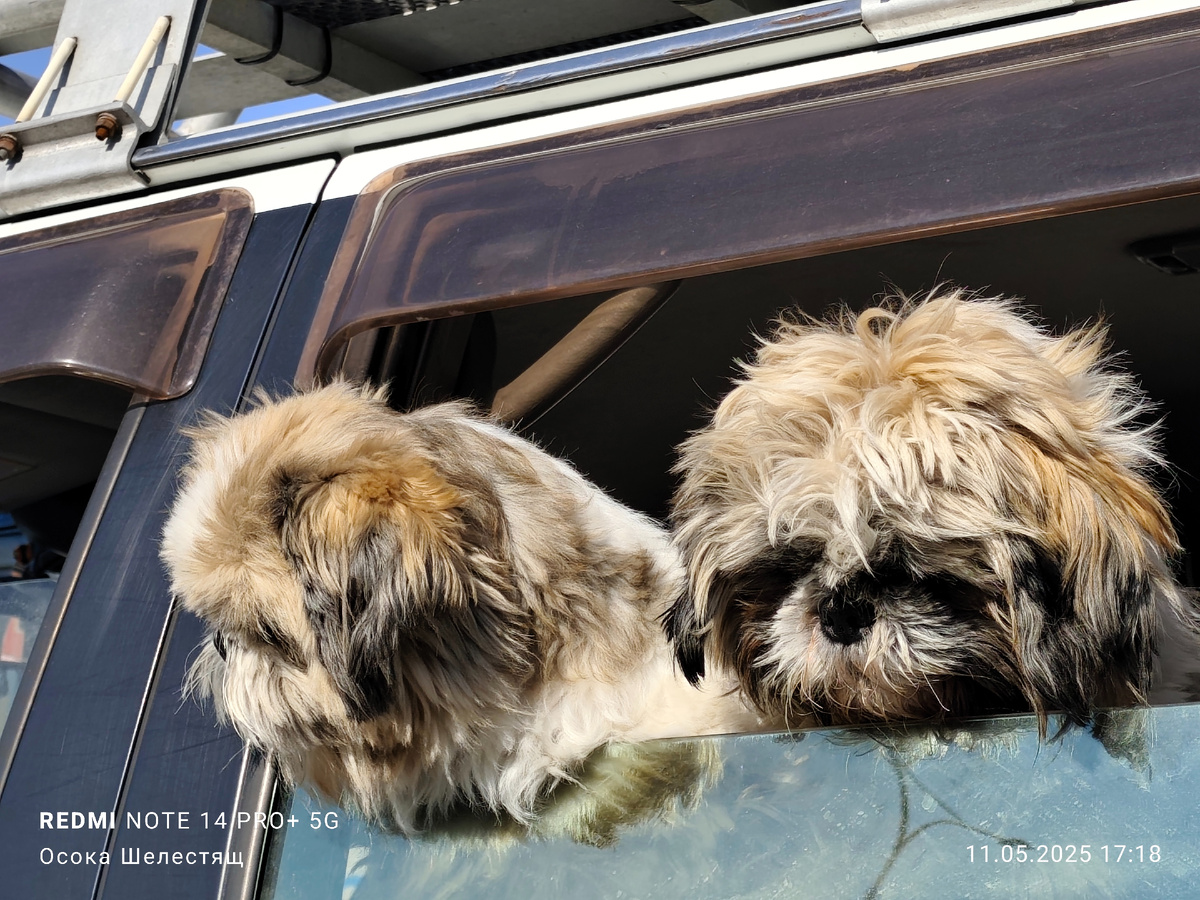А что там на улице делается?