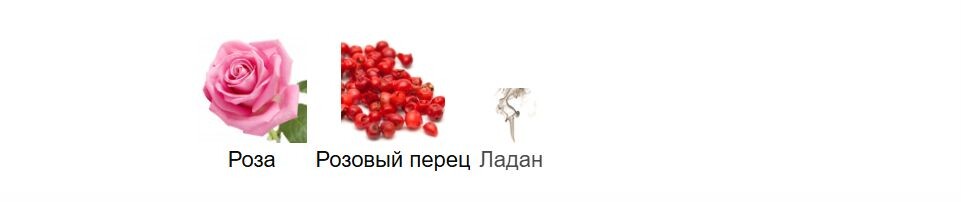 fragrantica.ru