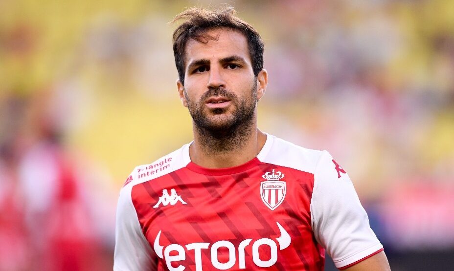    Сеск Фабрегас завершил карьеру футболиста. Фото: Global Look Press