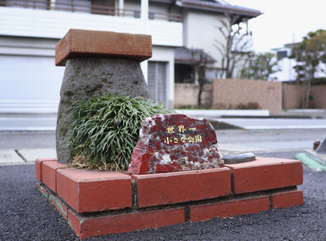 Если честно, выглядит он неважно, как кусок мяса и трава