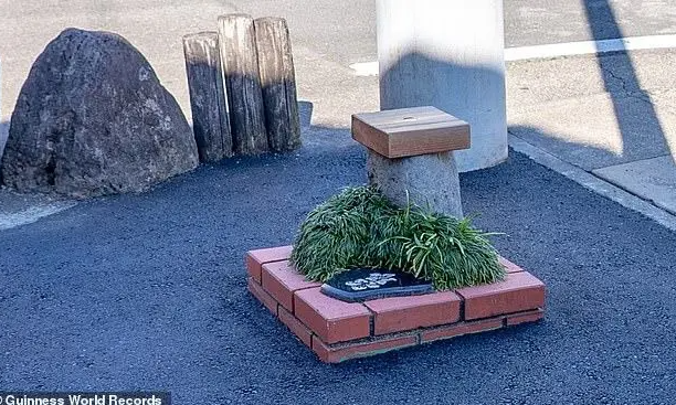 В прошлые годы без дурацкого красного камня было как-то получше