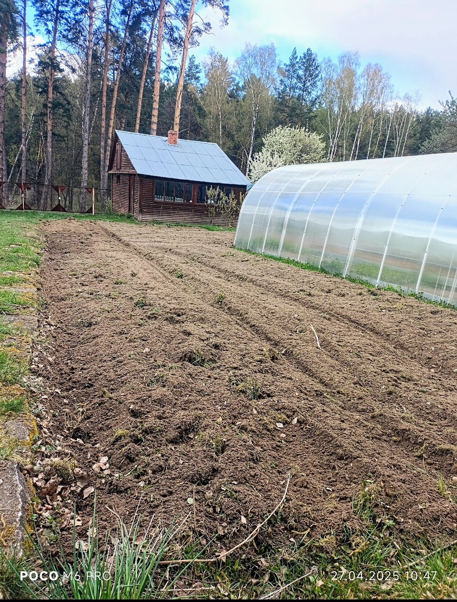 Скоро тут будут грядки с бортиками!) Радуюсь как дитя))