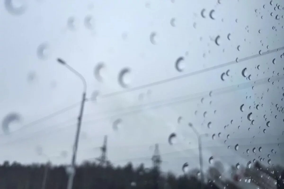    Ненастье и прохлада: какая погода будет в Хабаровске и крае 4 мая