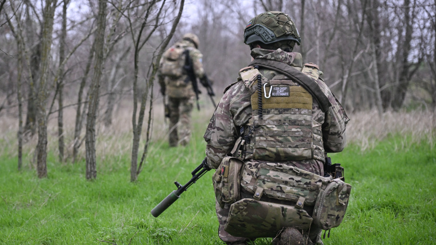    Фото: © РИА Новости/Константин Михальчевский; 5-tv.ru