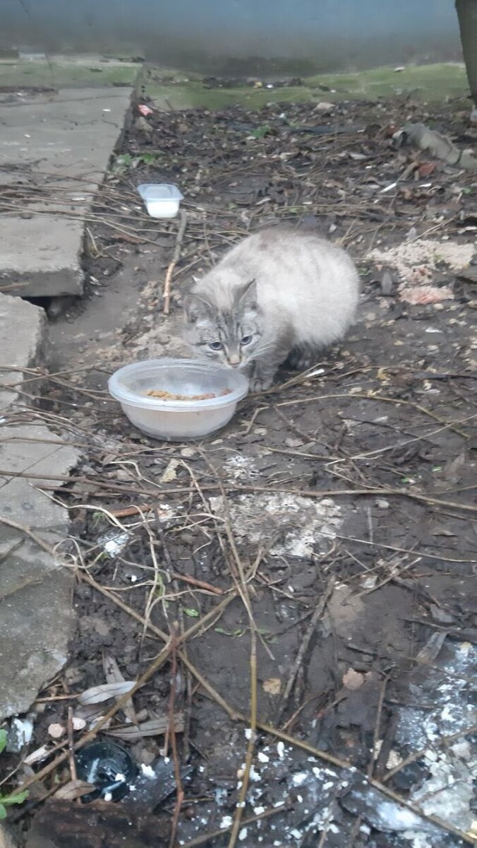 Мальвина ещё на улице