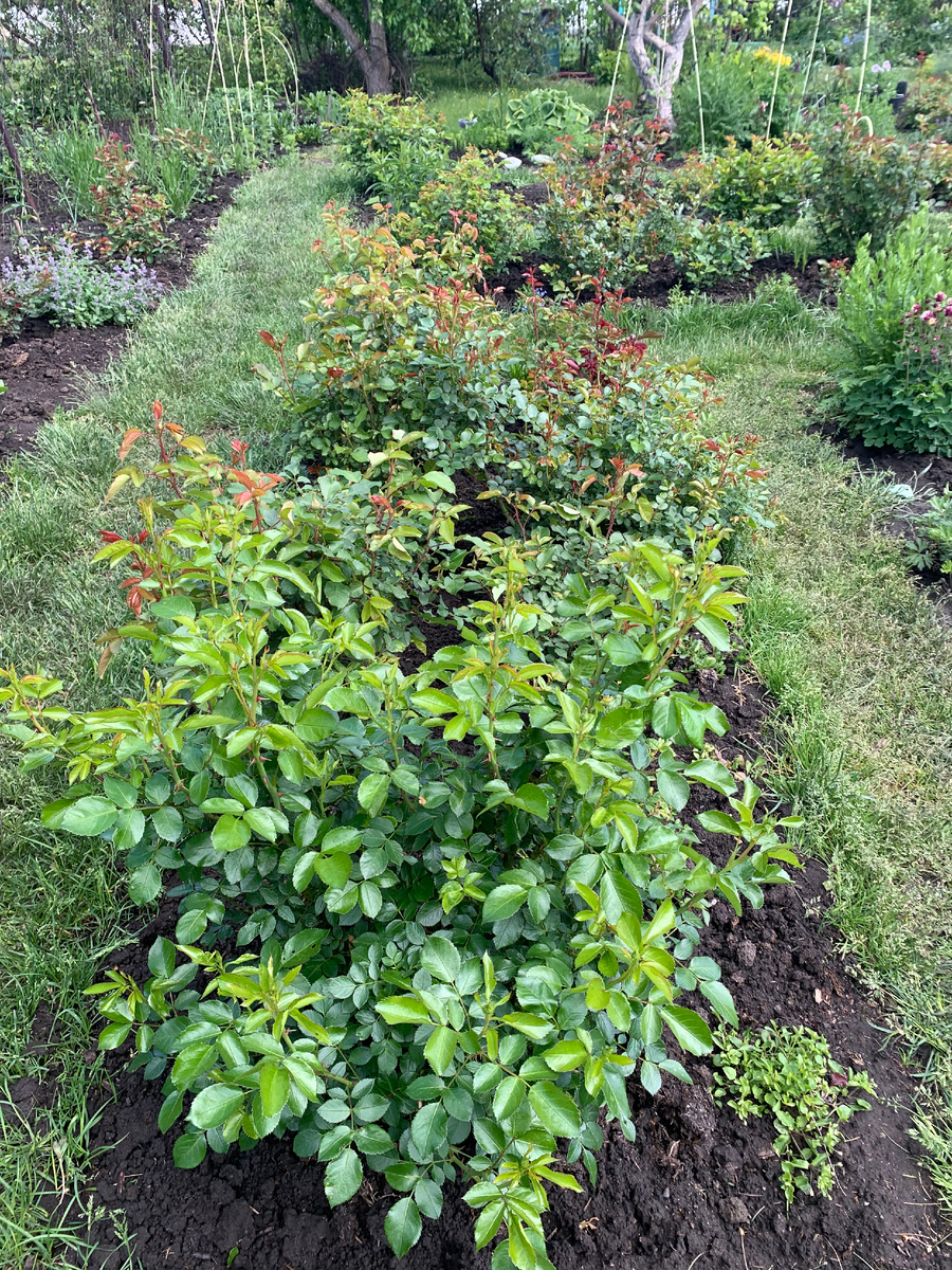 все фото автора