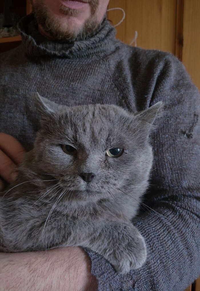 Бриташа-Флокс