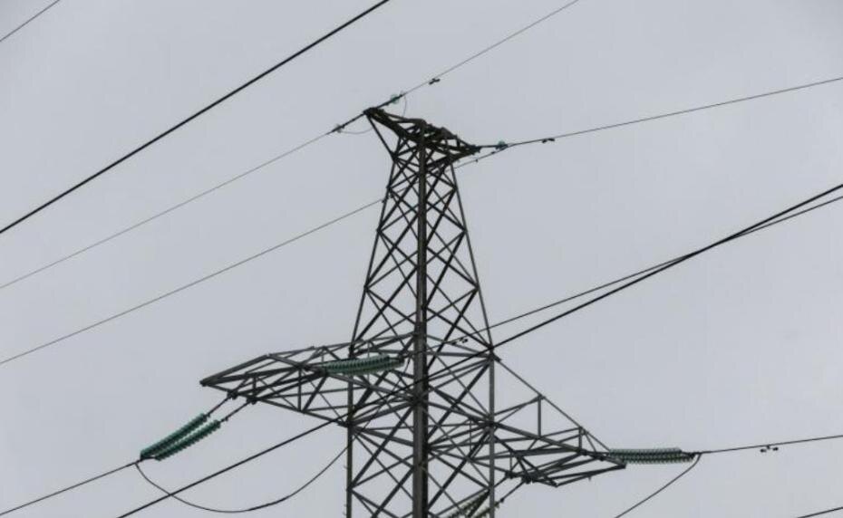    Алексей Белкин/NEWS.ru