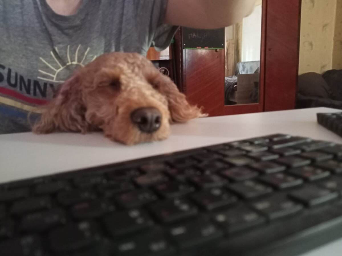 Румпель: - Я тоже работаю. Не покладая глаз. 