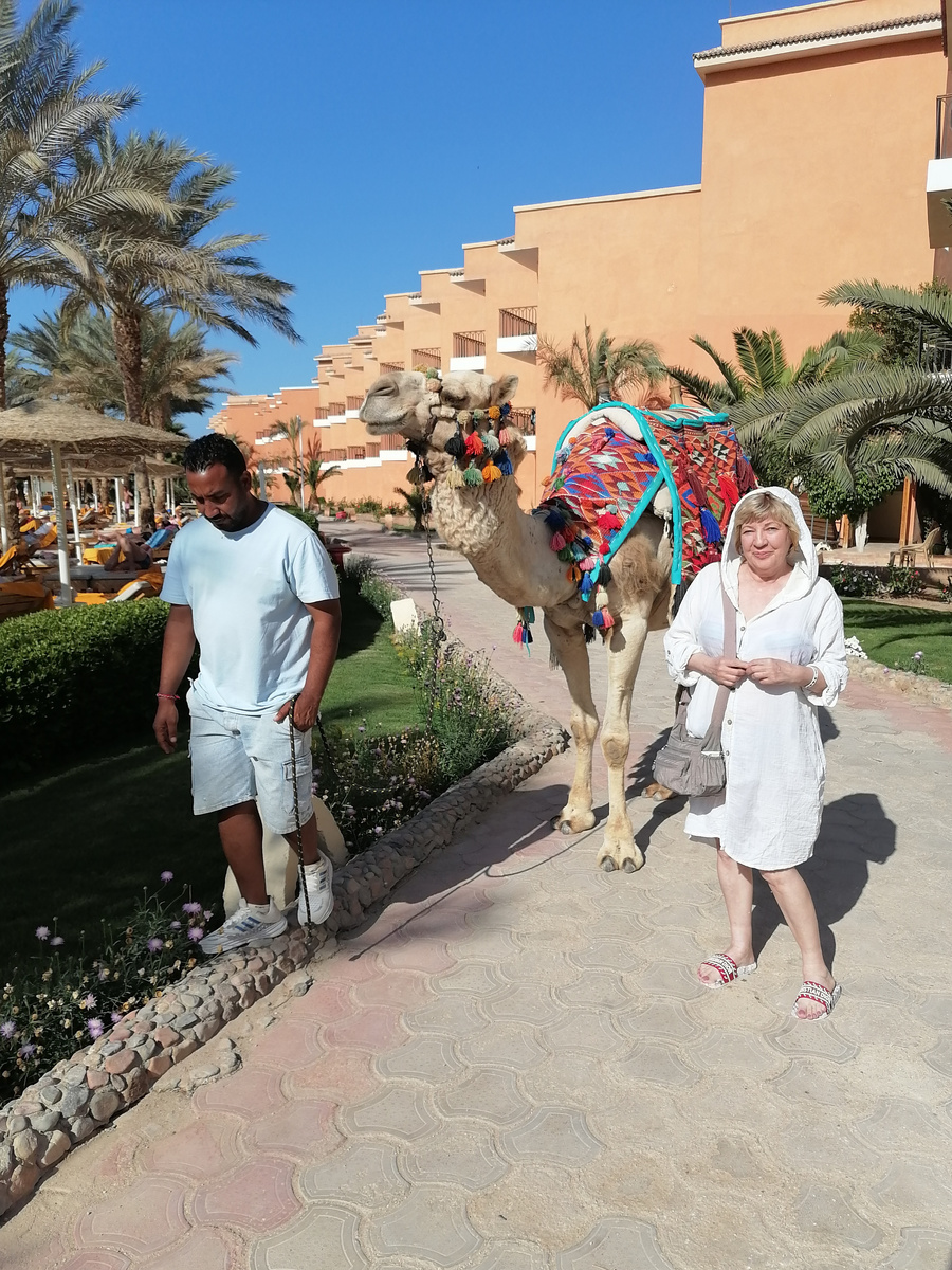 Нубиец на территории отеля. Верблюда зовут Али-баба. Фото автора.