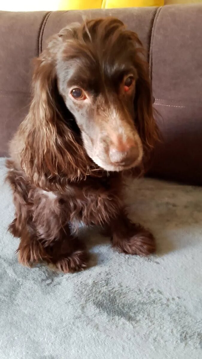 Малышка Вика, проблемы с дыханием и страшная боязнь находиться одной