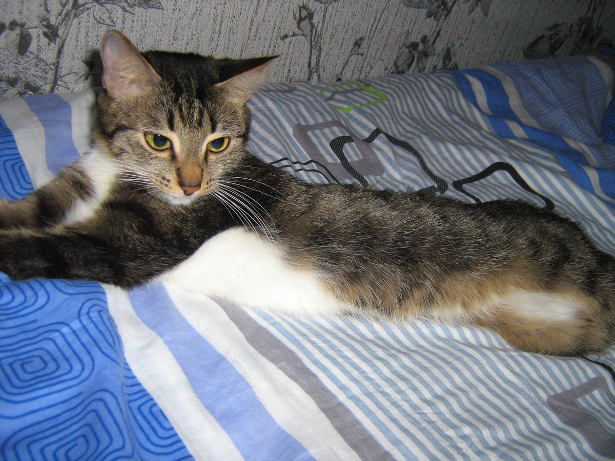 Стройняшка на кровати!