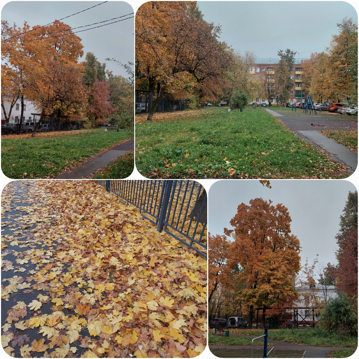 Мой осенний двор.